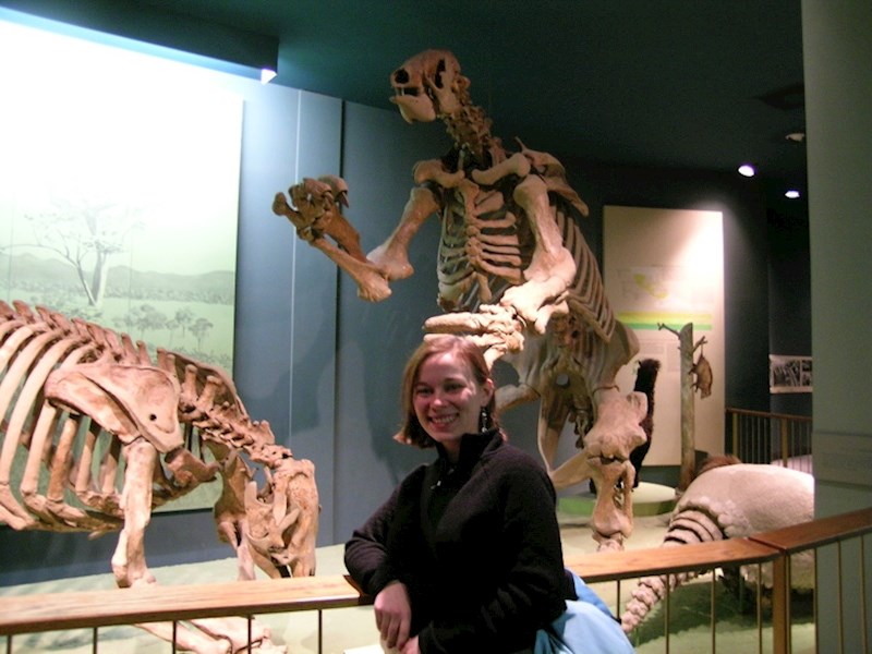 Divovski ljenjivci davno su živjeli na toplim otocima u blizini ljudi. Neki su dosegli visinu od čak 3 metra