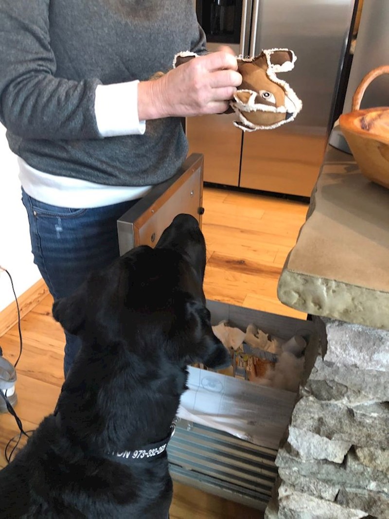 "Moja mama svaki put popravlja omiljenu igračku njenog psa, nakon što ju on izgrize"