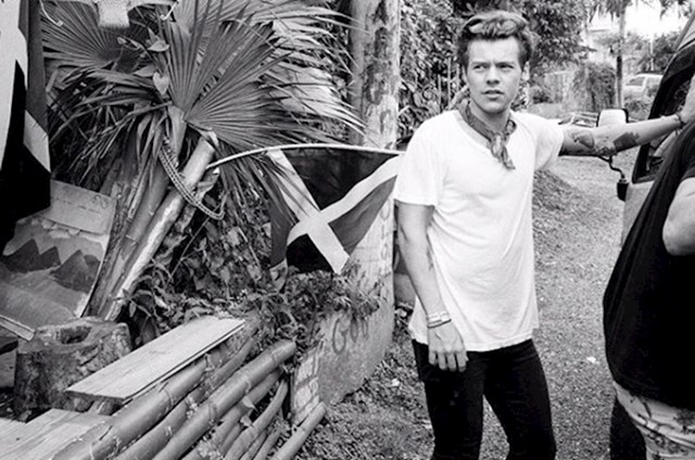 11. Harry Styles