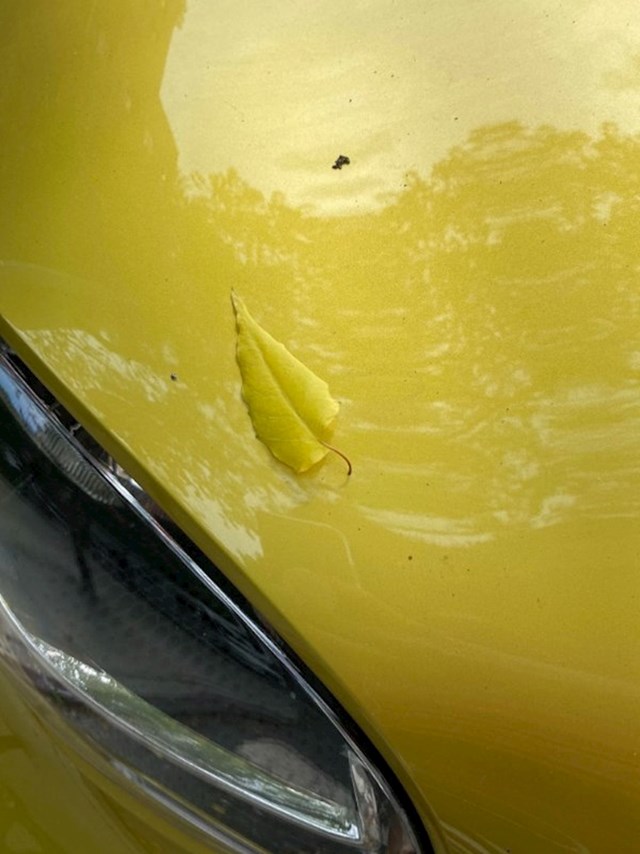 List potpuno iste boje pao je na žuti automobil