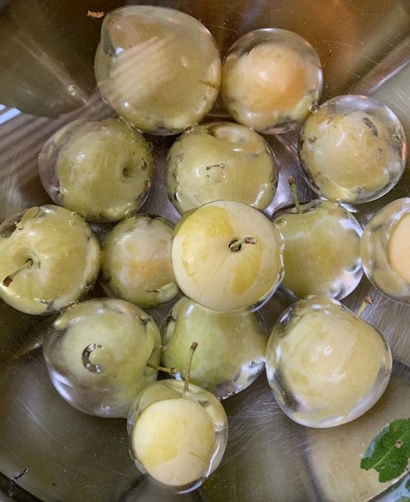 Stavio sam šljive u vodu i sada izgledaju kao da su prekrivene ledom