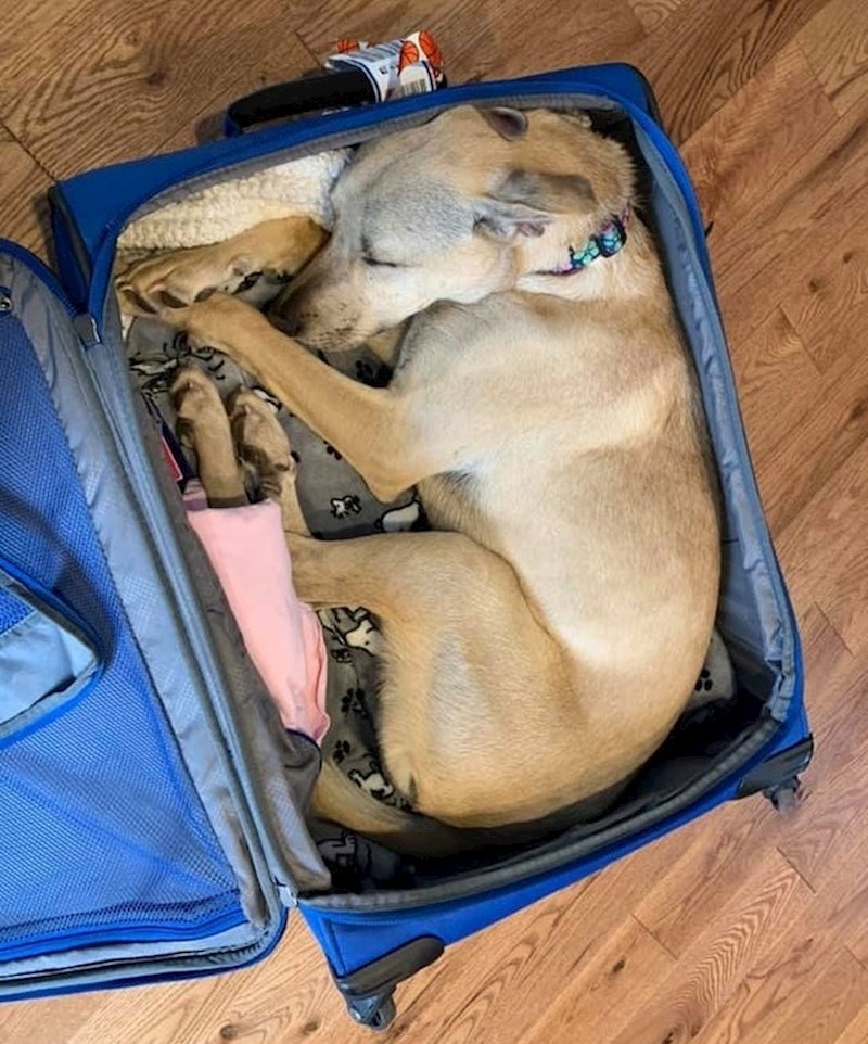 "Uvijek je ovako kada se pakiram, osjeća da odlazim..."