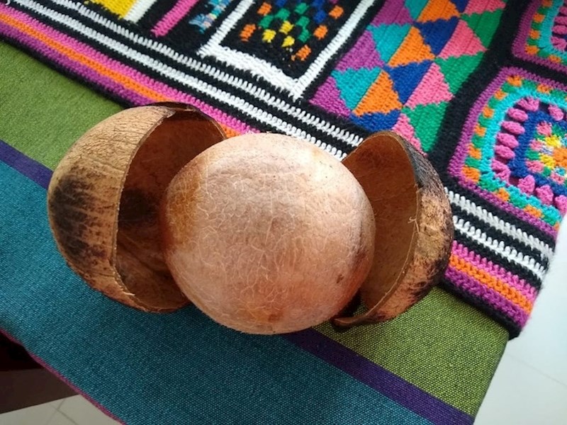 "Moja mama je uspjela savršeno otvoriti kokos"