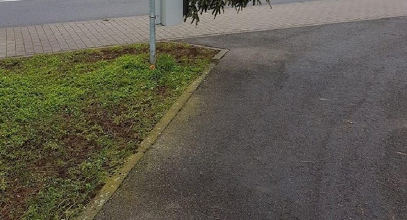 Pogledajte na kakav se nevjerojatan način netko pokušao riješiti božićnog drvca