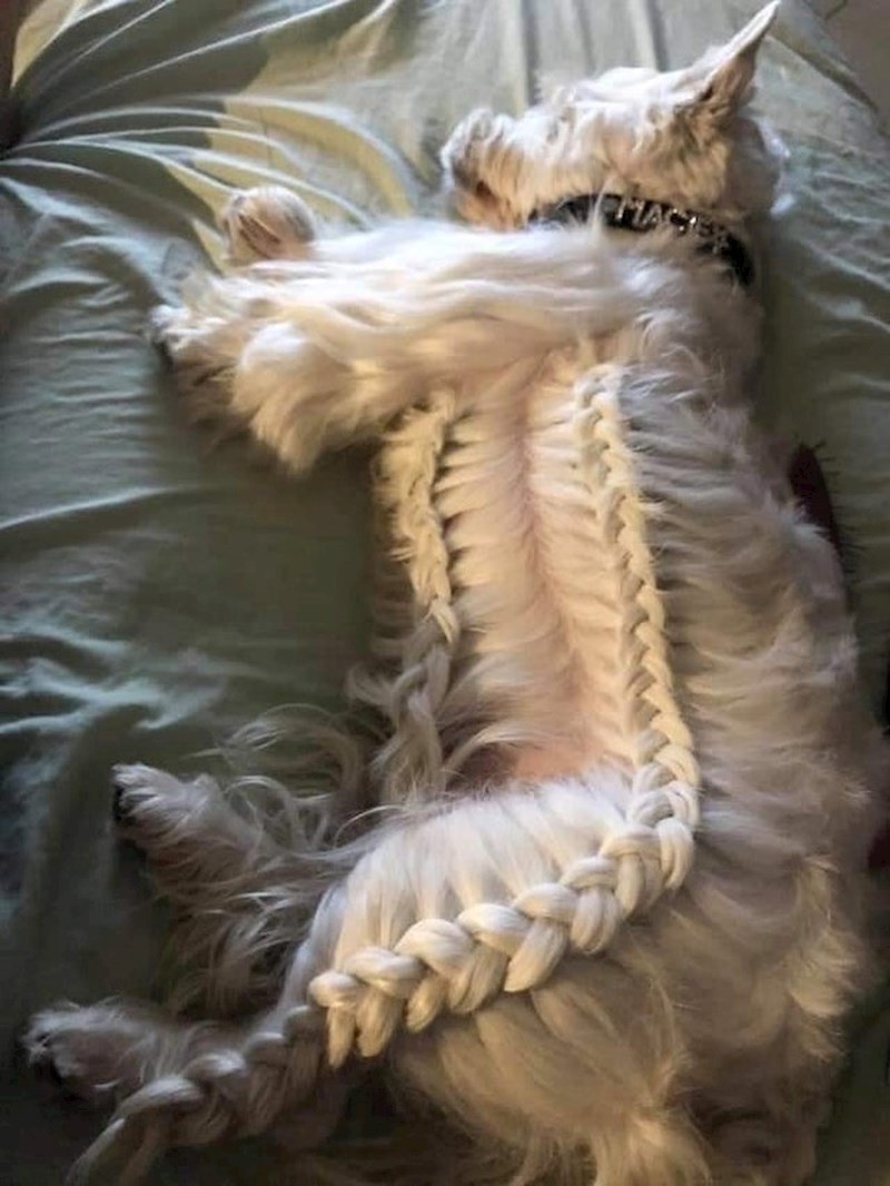 "Mislim da imam previše slobodnog vremena!"