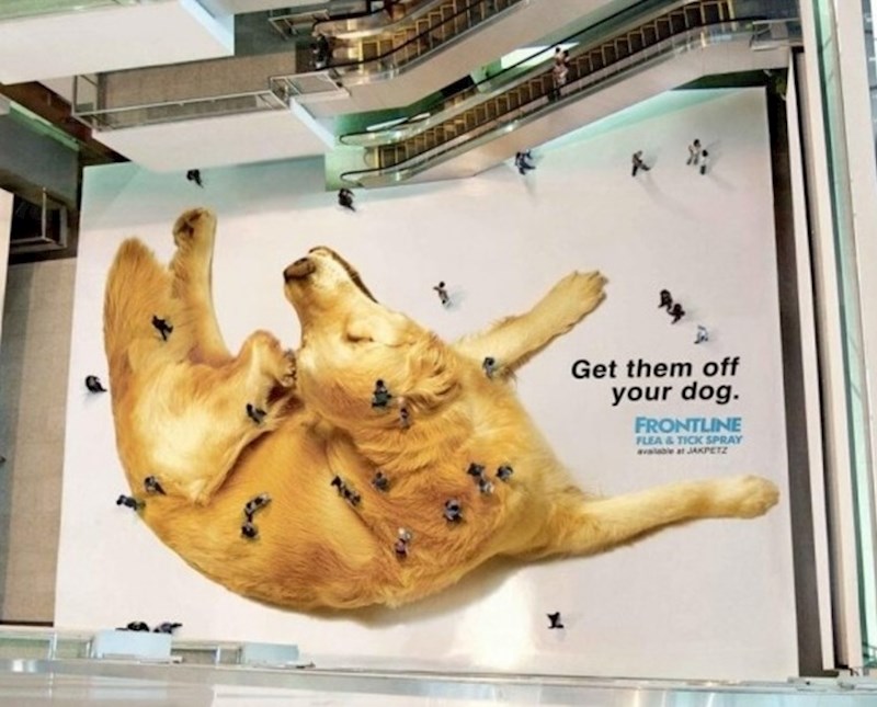 Reklama za proizvođača pseće opreme