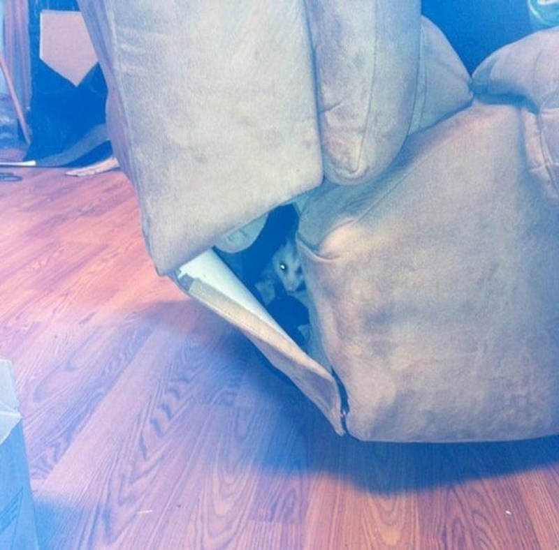 Ono kad imaš osjećaj da te netko promatra...