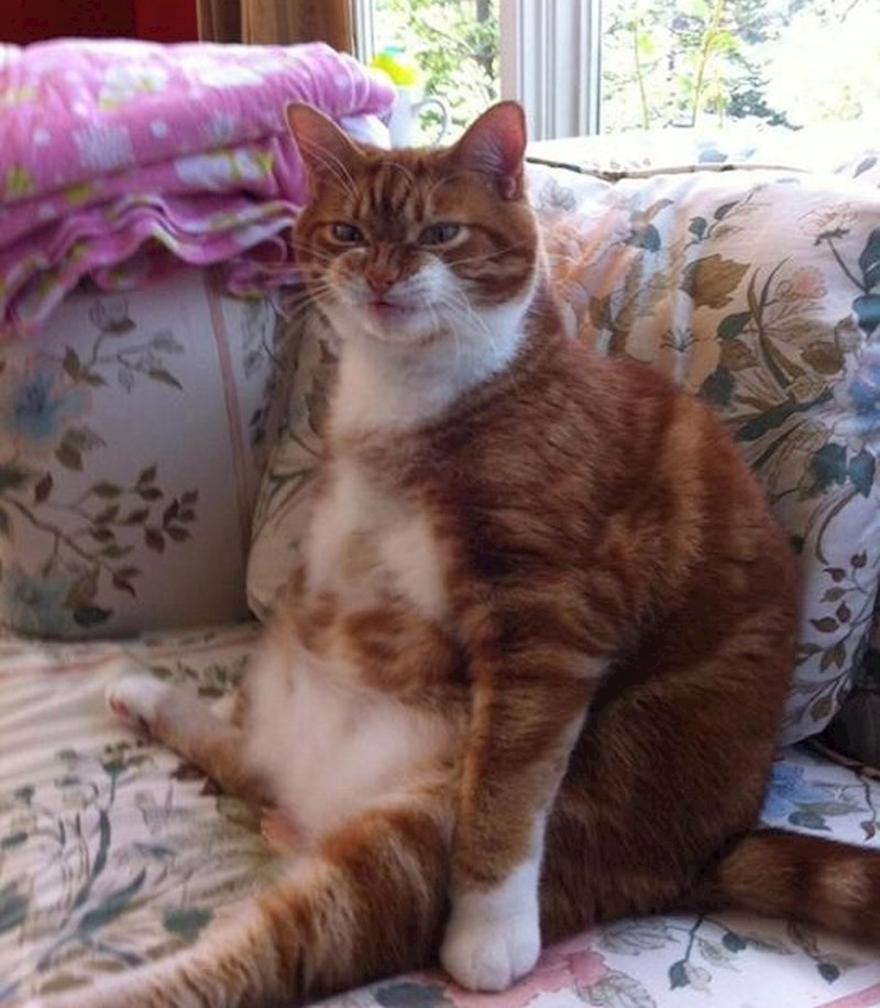 Kad si gladan nisi svoj!