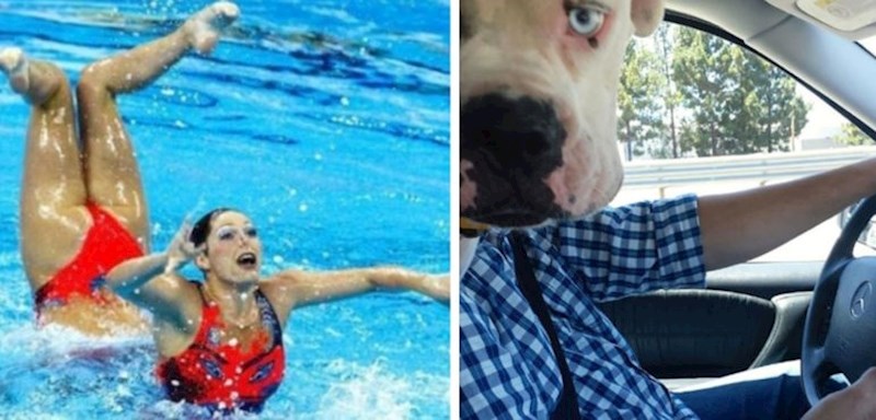 Ova galerija slika će vas totalno zbuniti, trebat ćete je malo bolje pogledati