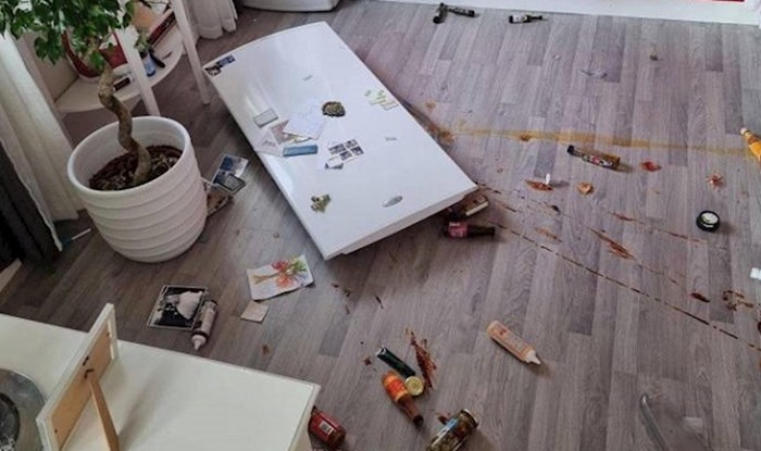 Ovi ljudi imali su prilično loš dan kojeg žele što prije zaboraviti