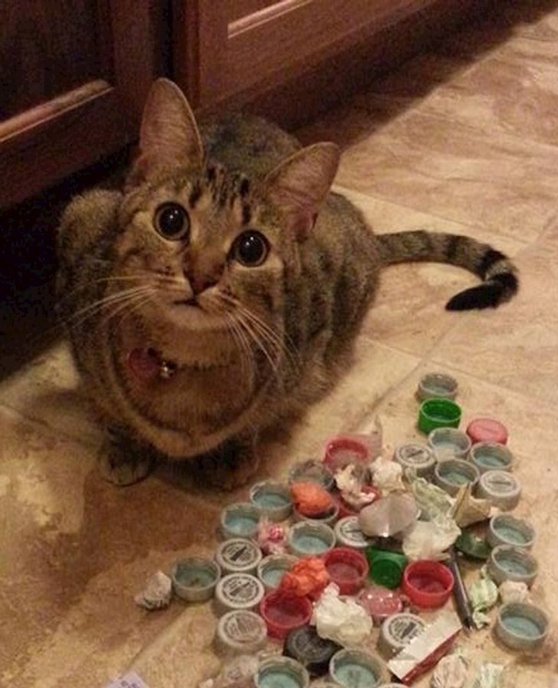 "Pronašla sam njeno tajno spremište..."