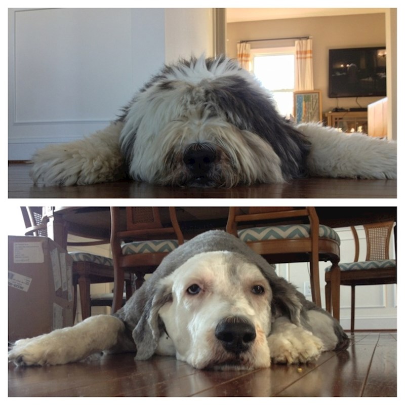 "Napokon može vidjeti!"