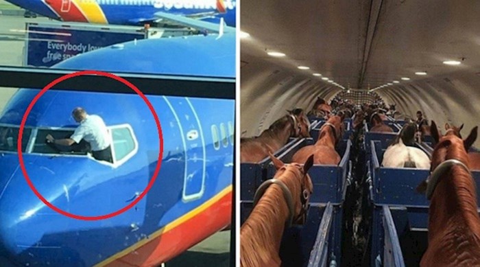 Ljudi su slikali prečudne prizore na aerodromima i u avionima koje su morali podijeliti s drugima