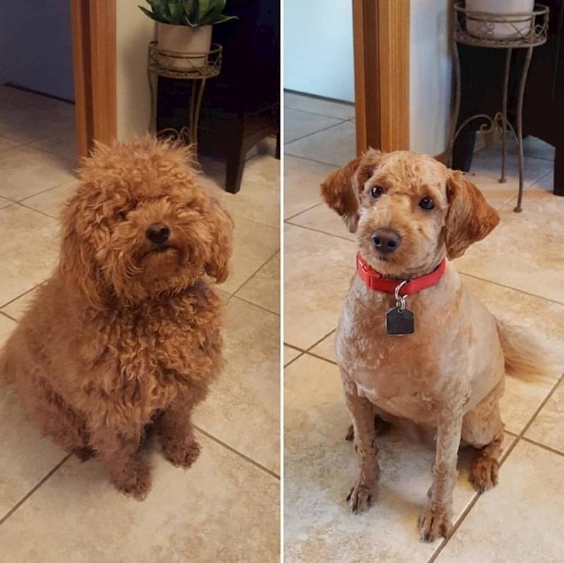 Ovo je sigurno bilo veliko olakšanje!