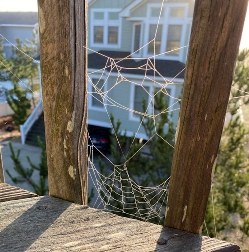 Prepoznajete li Spidermana?