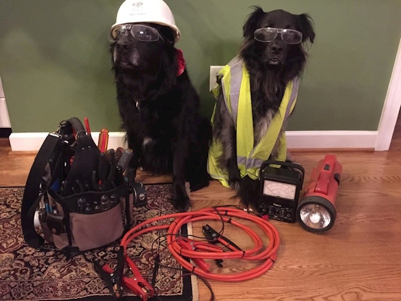 "Požalio sam se tati na električni kvar u mom stanu. Poslao mi je sliku i napisao: majstori su spremni!"