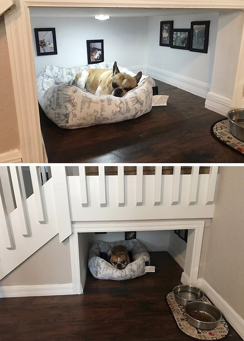 "Moj je brat svom psu napravio posebnu kućicu unutar svoje kuće. Čak je stavio i njihove fotografije!"