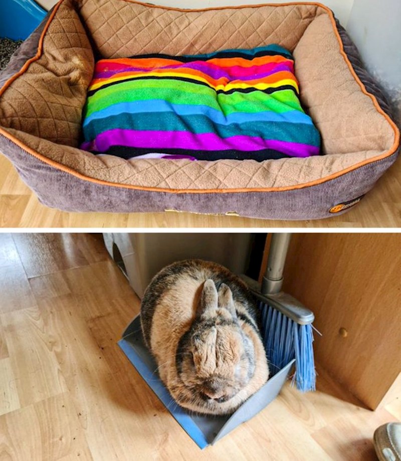 "Moja žena je platila ovaj krevet 60 dolara, ali on radije spava na metli..."