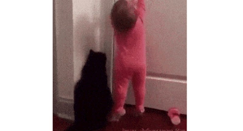 Ovaj mali slatki dvojac sve čini zajedno, pogledajte kako otvaraju vrata