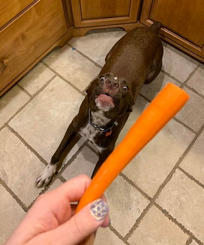 "Otkrila sam da obožava mrkve"