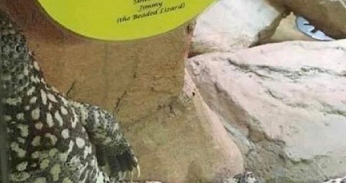 Zbog ove luckaste životinje zoološki vrt je morao staviti poseban natpis