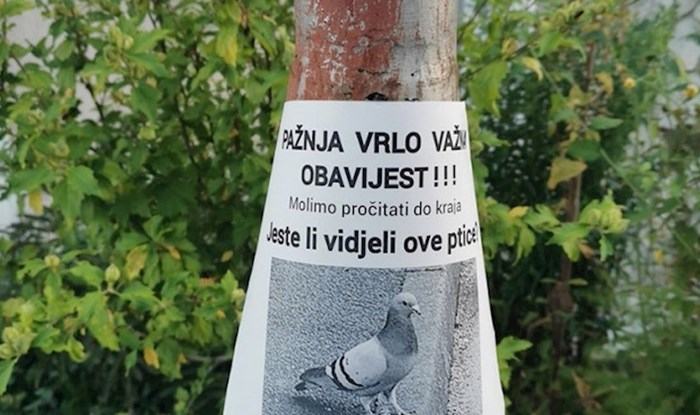Lik je na stup zalijepio "važnu" obavijest, prolaznici su se dobro nasmijali
