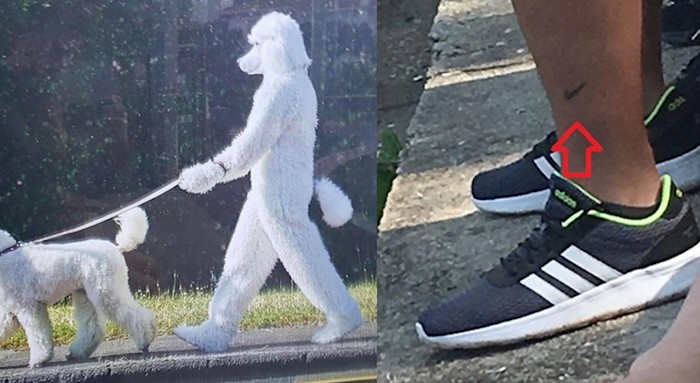 Fotke neobičnih stvari koje se ne viđaju tako često