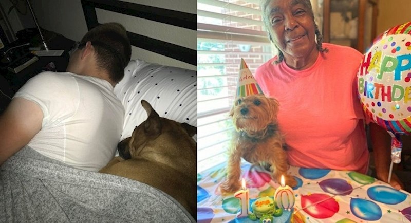 10 priča o pravoj ljubavi između ljubimaca i njihovih vlasnika