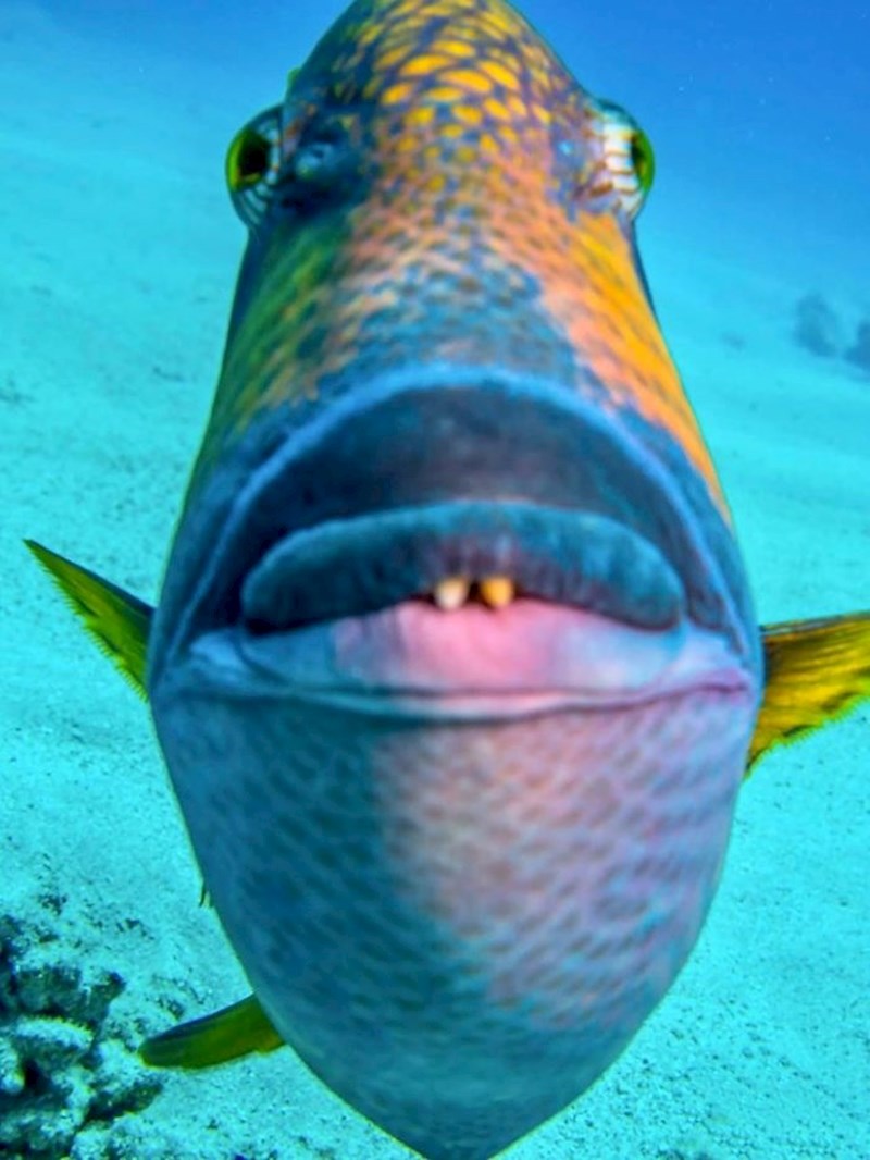 "Fotku sam slučajno uslikao kada me je mališan pokušao napasti"