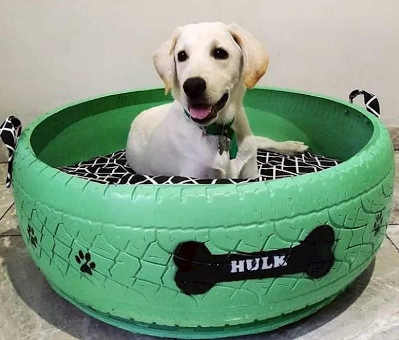 Hulk je oduševljen!