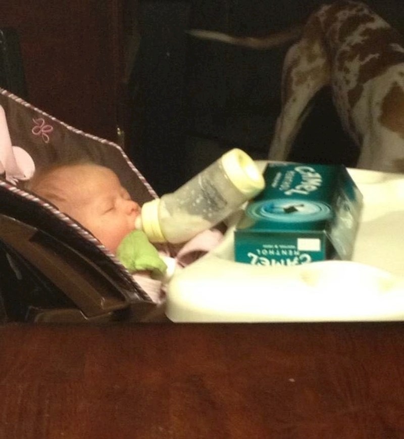 Roditelji imaju slobodne ruke, a beba je nahranjena i svi su na dobitku