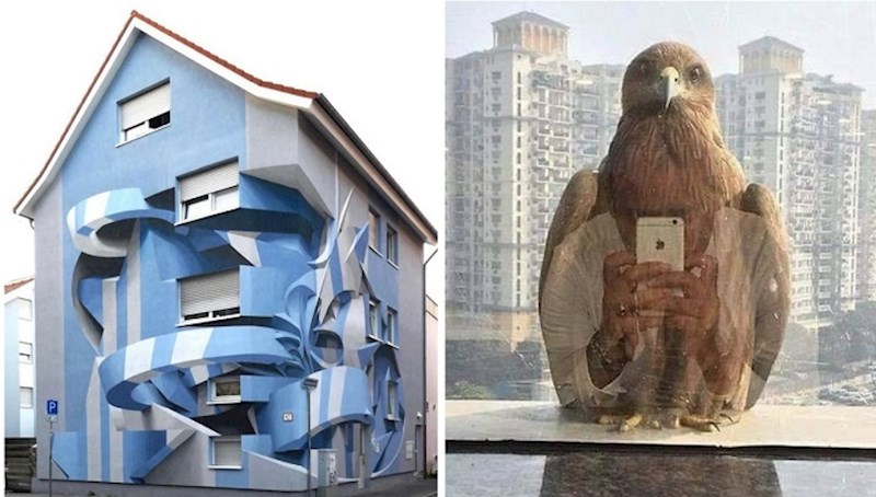 Fotke koje ćete morati dva puta pogledati da bi ih shvatili