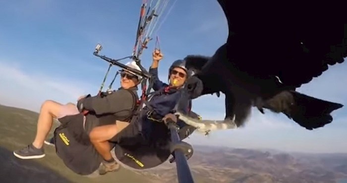 Dvojici paraglajdera lešinar sletio na selfie štap, ovo je neponovljivo