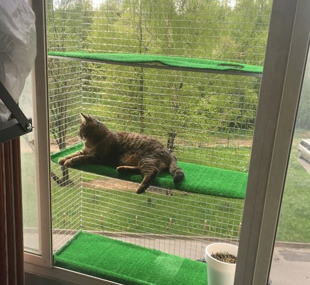 Mačka je skoro skočila s balkona, pa joj je vlasnik ovo napravio...