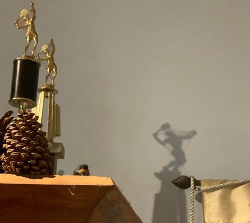 Zbog paučine sjena izgleda totalno ludo