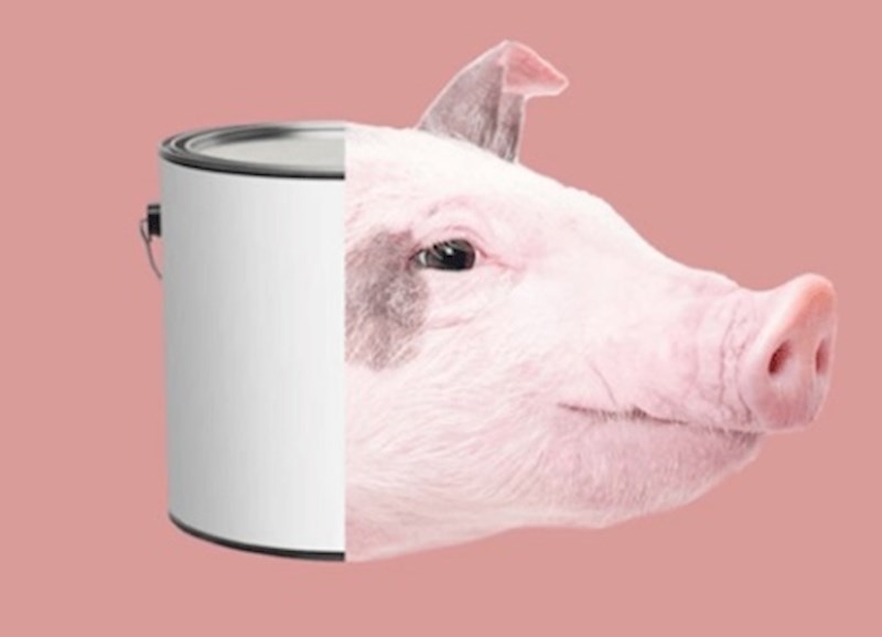 Svinjski mjehur koristio se kao spremnik za boju