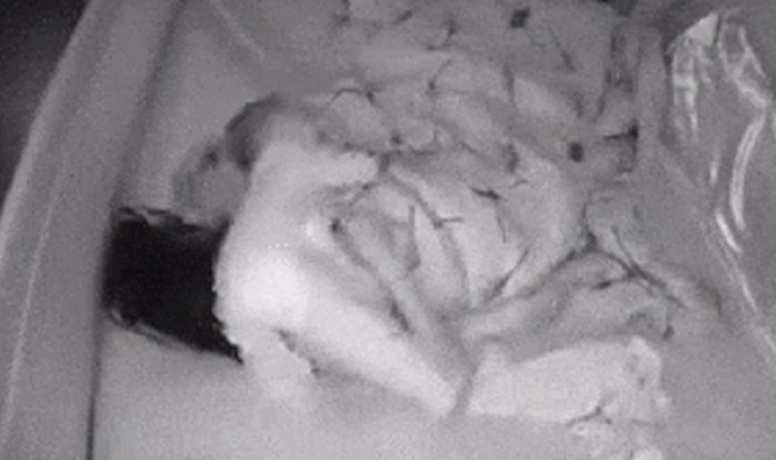 Ovaj kratki video pokazuje kako to izgleda kada roditelji spavaju s bebom