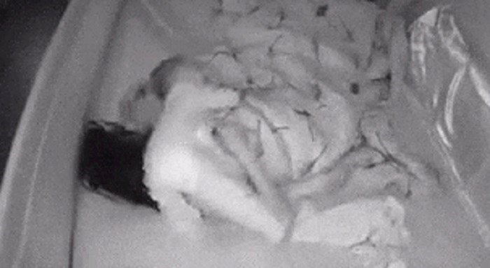 Ovaj kratki video pokazuje kako to izgleda kada roditelji spavaju s bebom