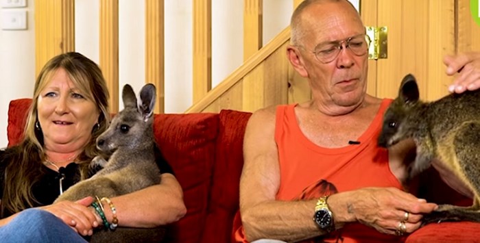 VIDEO Par otvorio vrata svoga doma klokanima. Sada je sklonište ovim zanimljivim životinjama