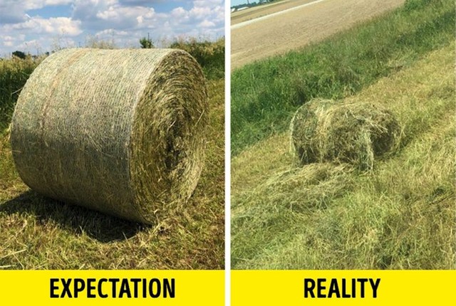 "Moj brat je pokušao napraviti balu od sijena, ovo je dobio..."
