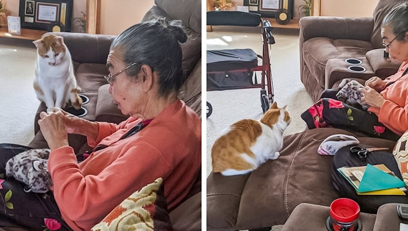 "Moja baka joj popravlja omiljenu igračku..."