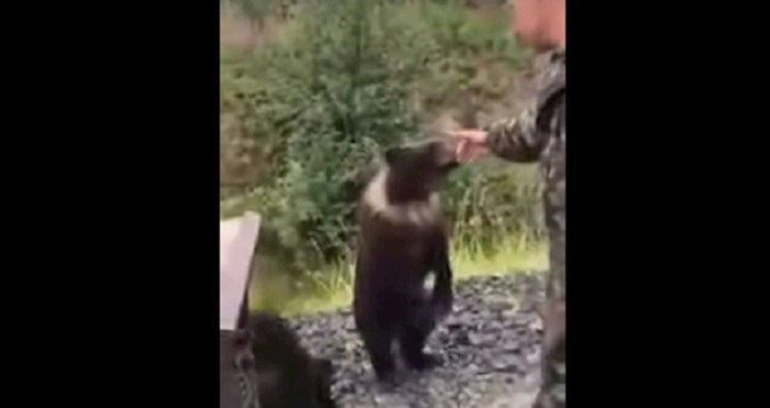 VIDEO Rus je pokušao pomaziti medvjeda, ali medvjedu se to nije svidjelo