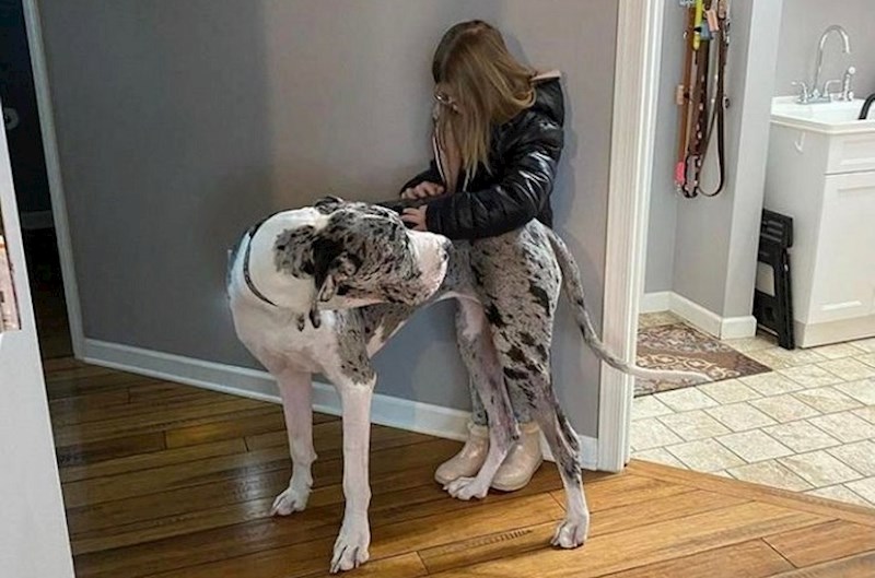 Fotke koje će vam se poigrati s mozgom