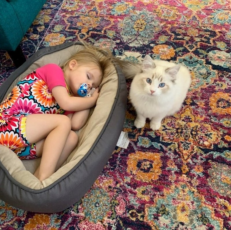 "A gdje ću ja spavati?"