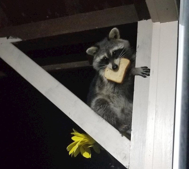 "Ostavljala sam kruh za ptice..."