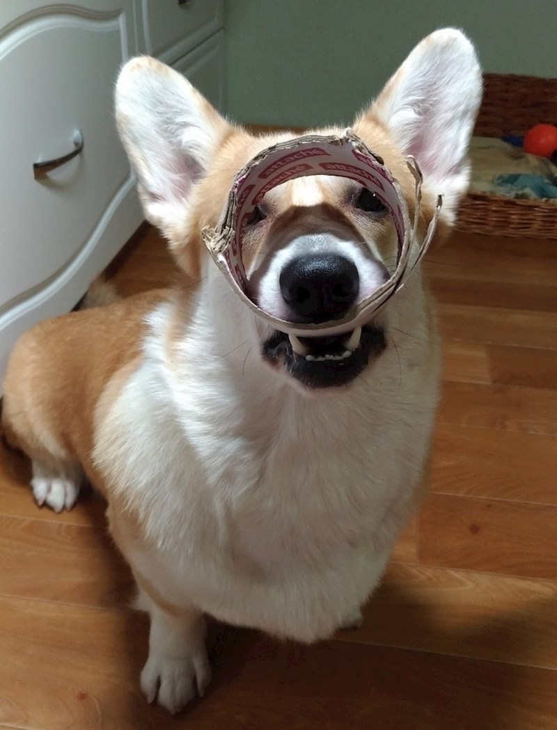 Još jedan mališan s neobičnom igračkom :D