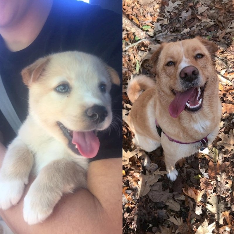 "Popravlja mi raspoloženje već 3 godine..."