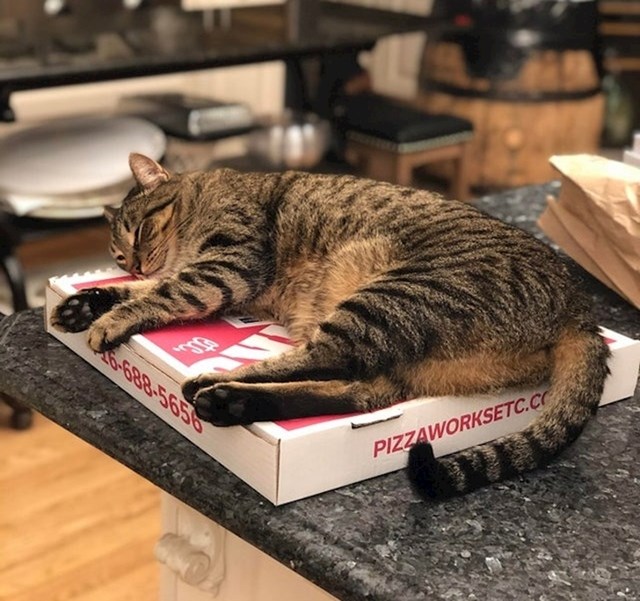 "Svaki put kada naručimo pizzu:"