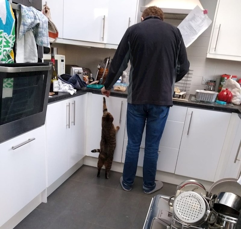 "Tata mi nikada nije dozvolio da imam mačku. Prije par godina razboljela sam se i ispunio mi je želju. Sada je ona njegova omiljena kćer"