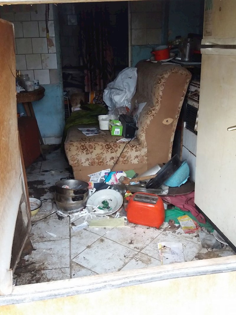 Uvjeti u kojima su psi živjeli